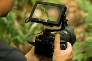 Monitor de Câmera SmallHD FOCUS de 5